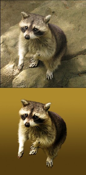 Фотографии: ретушь 